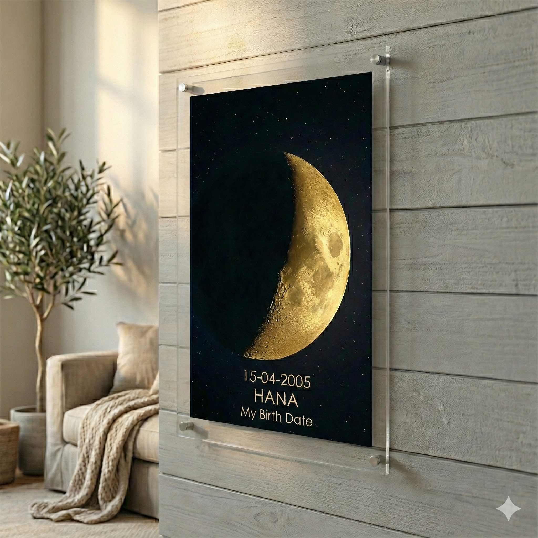 Plexi Frame - Image 3